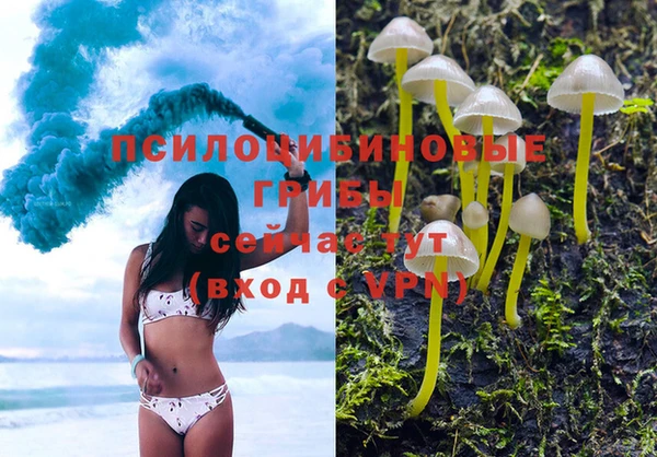 хмурый Карпинск